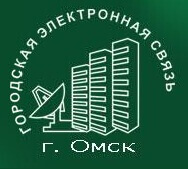 Городская Электронная сеть